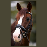 Halter Ego Valentina Black Patent Sparkle Snaffle Bridle