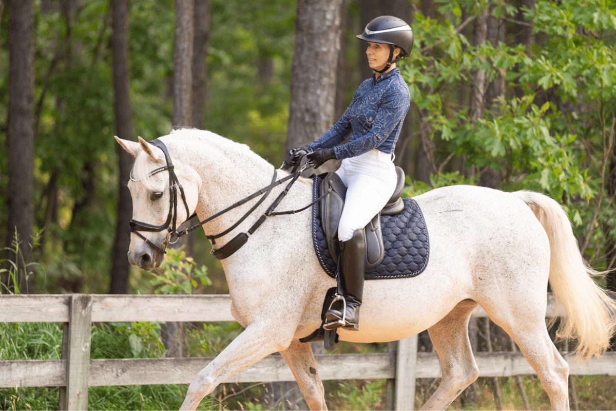 3 - in - 1 Training Breastplate - CorrectConnect - Equiluxe Tack