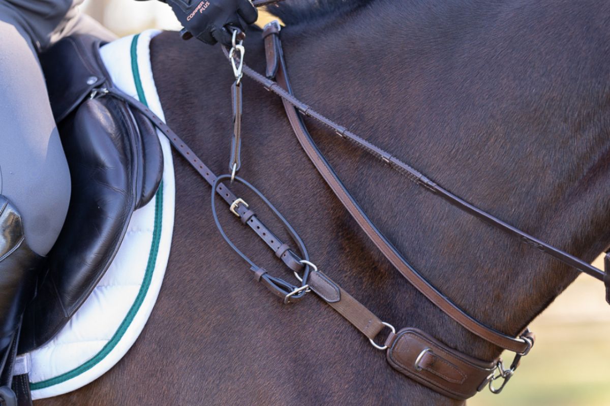 3 - in - 1 Training Breastplate - CorrectConnect - Equiluxe Tack