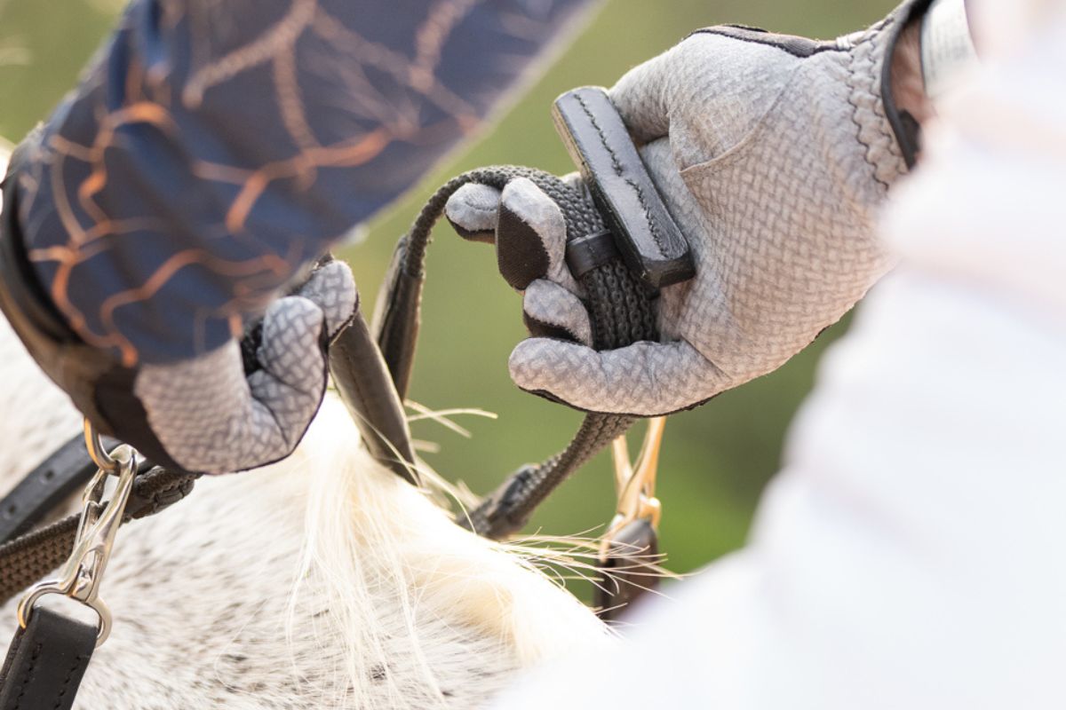 3 - in - 1 Training Breastplate - CorrectConnect - Equiluxe Tack