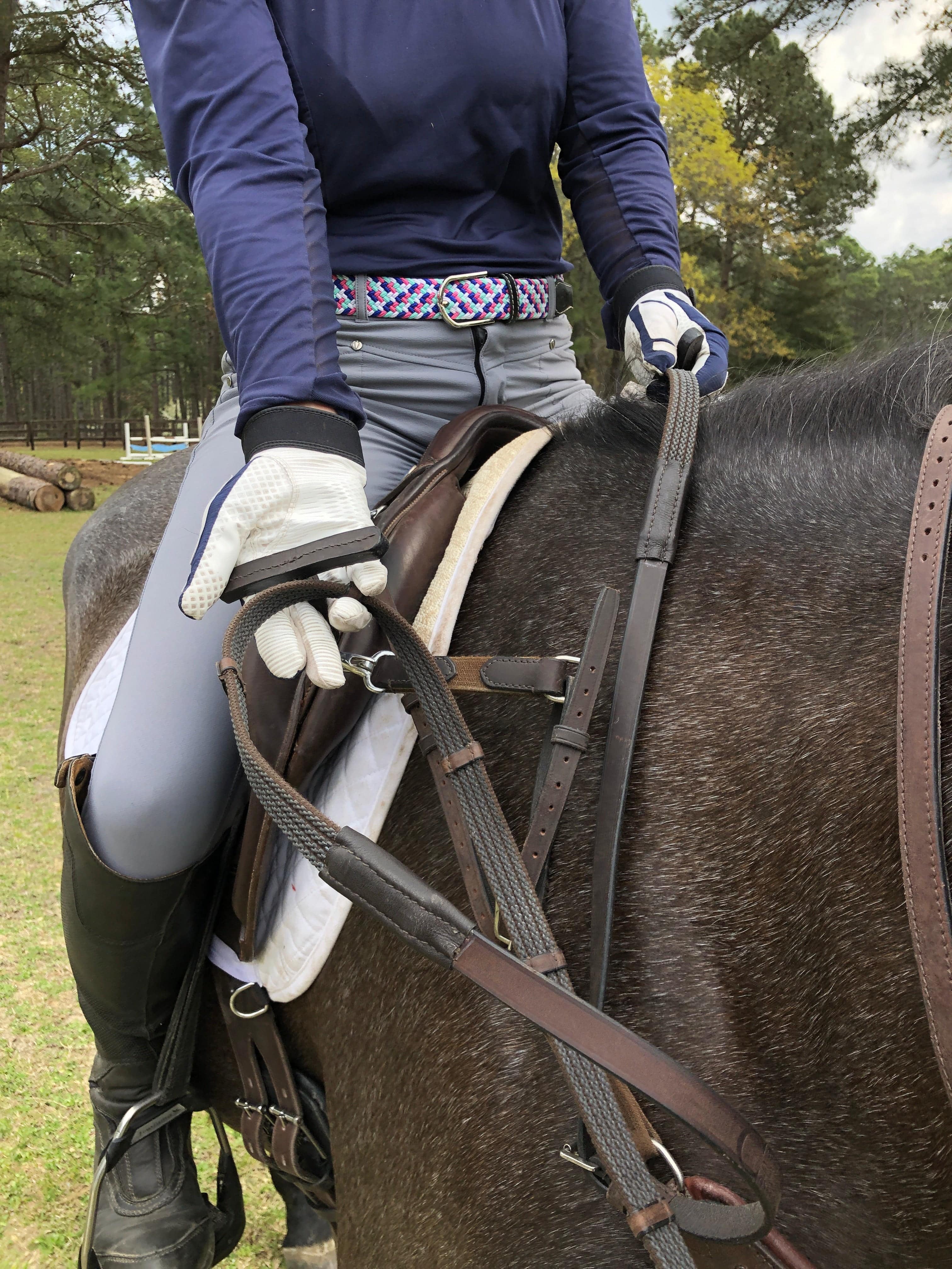 3 - in - 1 Training Breastplate - CorrectConnect - Equiluxe Tack