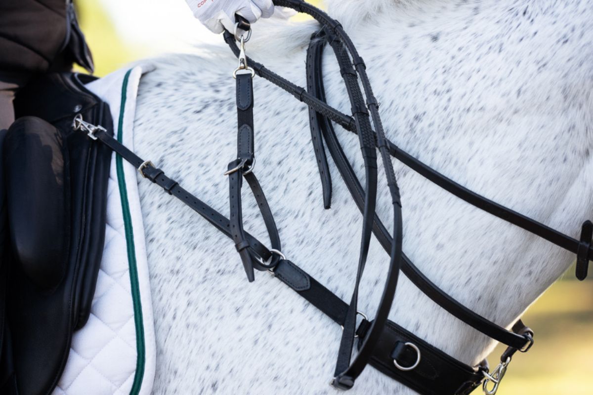 3 - in - 1 Training Breastplate - CorrectConnect - Equiluxe Tack