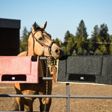 Rose Quartz Western Saddle Pad