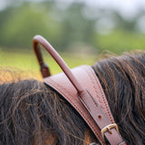Correct Connect Western Double Neck Strap