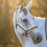 Stardust Grey Halter