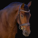 Halter Ego Aspen Leather Snaffle Bridle with Removable Flash