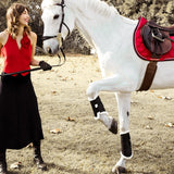 PS of Sweden Bridle Hackamore Sport