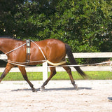 Pessoa® Lunging System