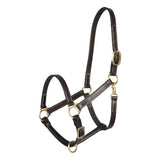 Henri de Rivel Leather Turnout Halters With Snap