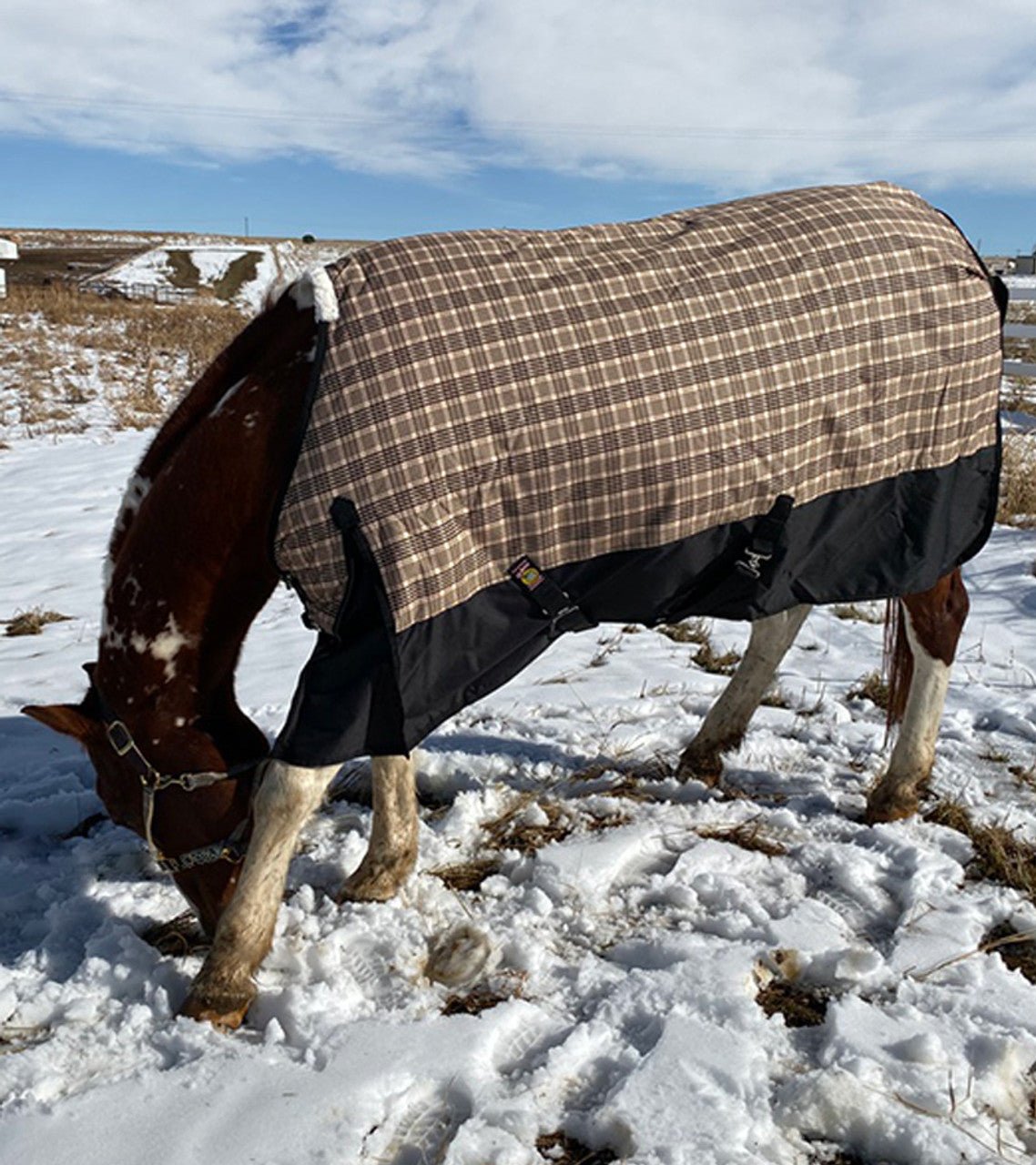 5/A Baker® Black Label Heavy Weight Turnout Blanket 400 Gram - 5/A Baker® - Equiluxe Tack