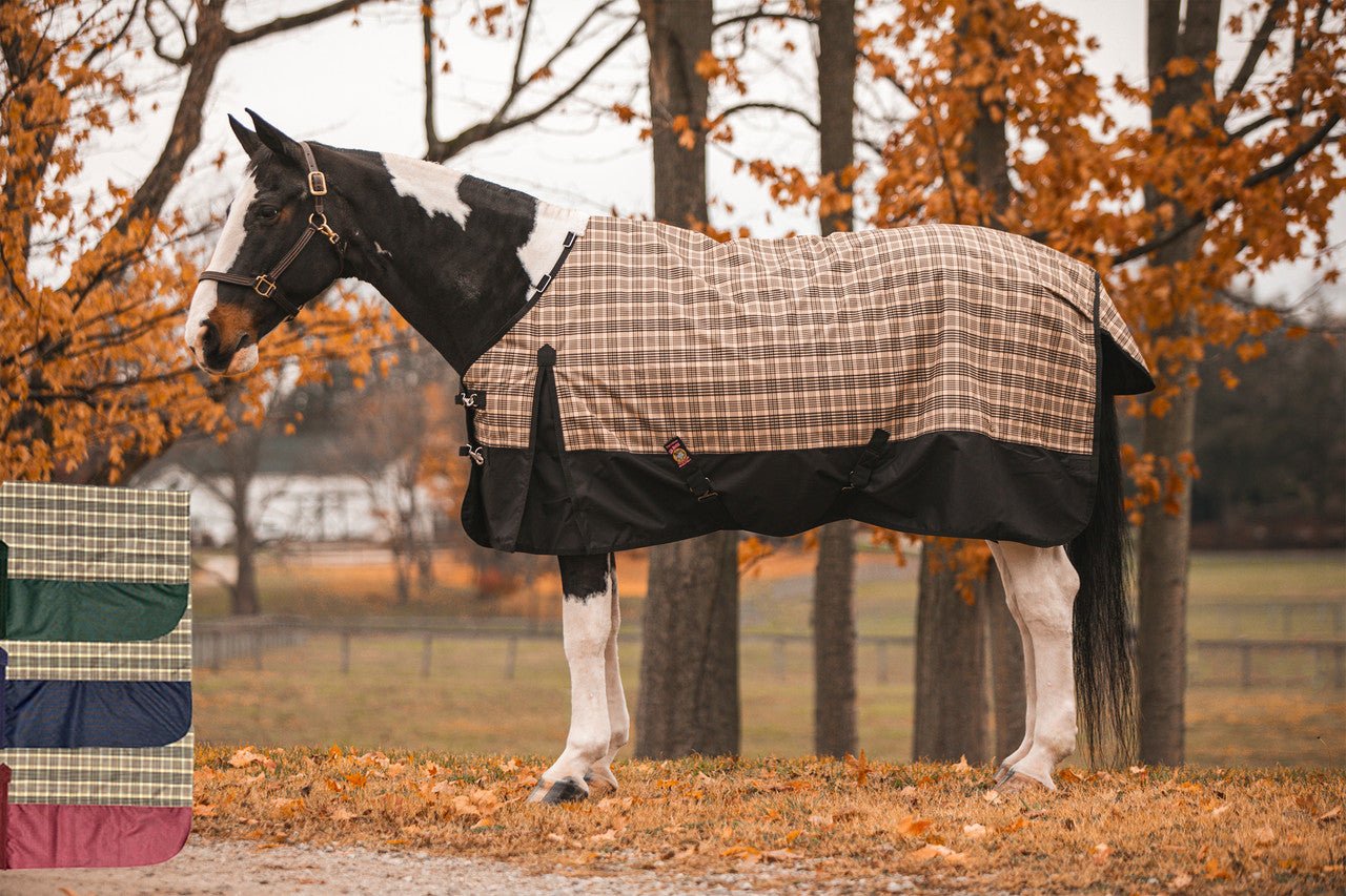 5/A Baker® Black Label Medium Weight Turnout Blanket 200 Gram - 5/A Baker® - Equiluxe Tack