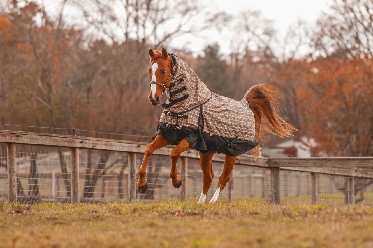 5/A Baker® Black Label Neck Cover - 5/A Baker® - Equiluxe Tack