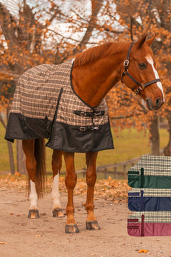 5/A Baker® Black Label Turnout Sheet - 5/A Baker® - Equiluxe Tack