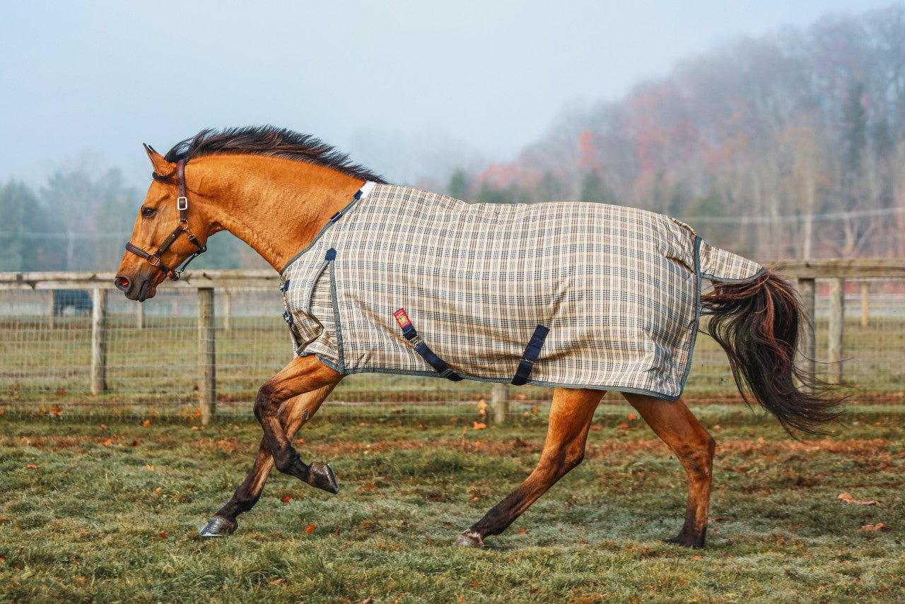 5/A Baker® Heavy Weight Turnout Blanket 400 Gram - 5/A Baker® - Equiluxe Tack