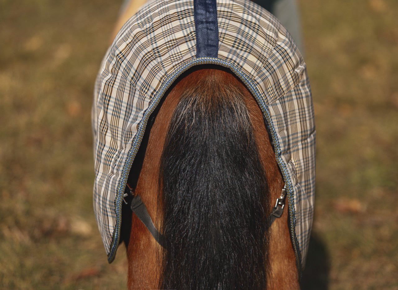 5/A Baker® Medium Weight Expand - O - Blanket Turnout for Foal & Pony - 5/A Baker® - Equiluxe Tack