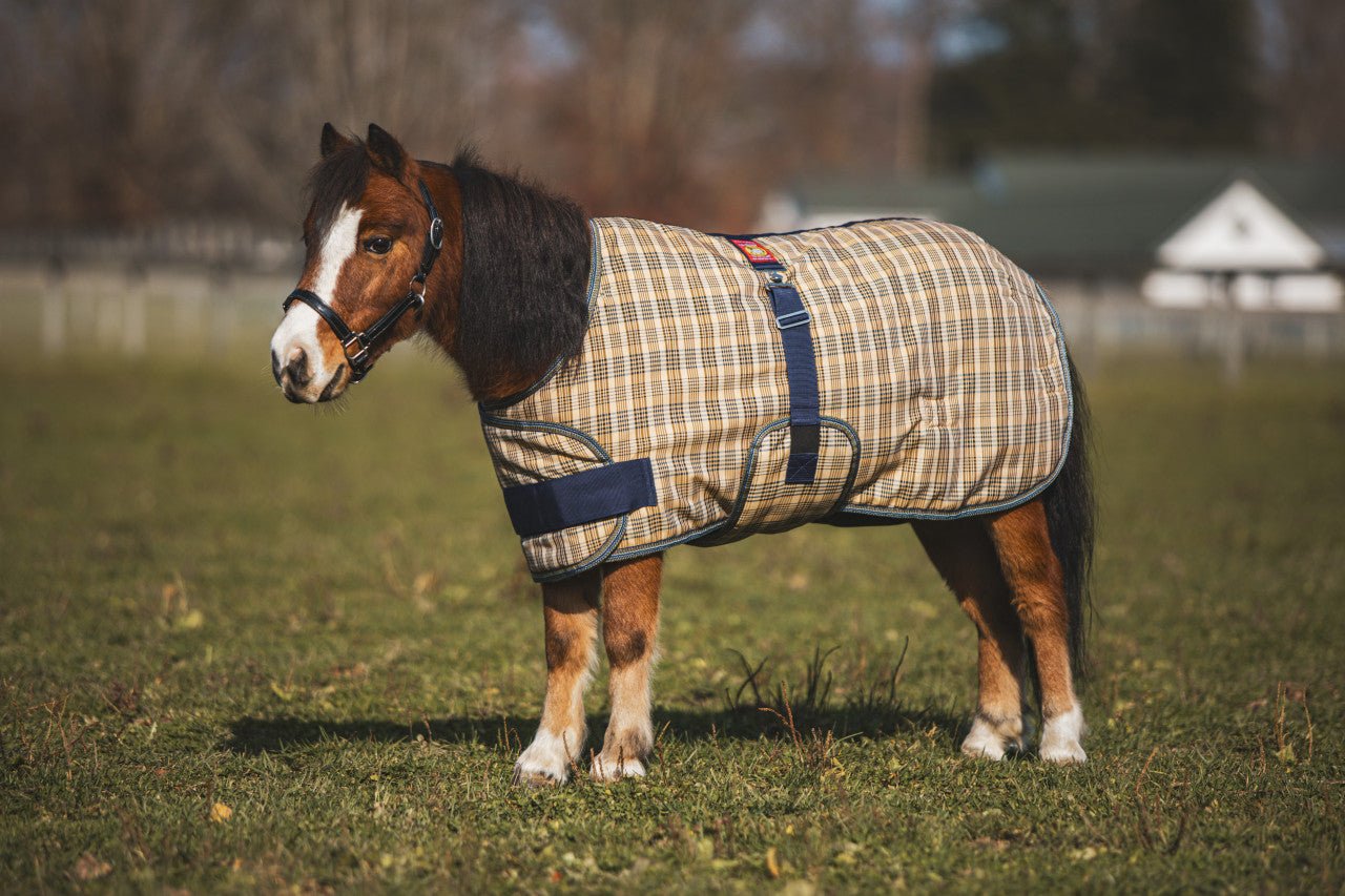 5/A Baker® Medium Weight Expand - O - Blanket Turnout for Foal & Pony - 5/A Baker® - Equiluxe Tack