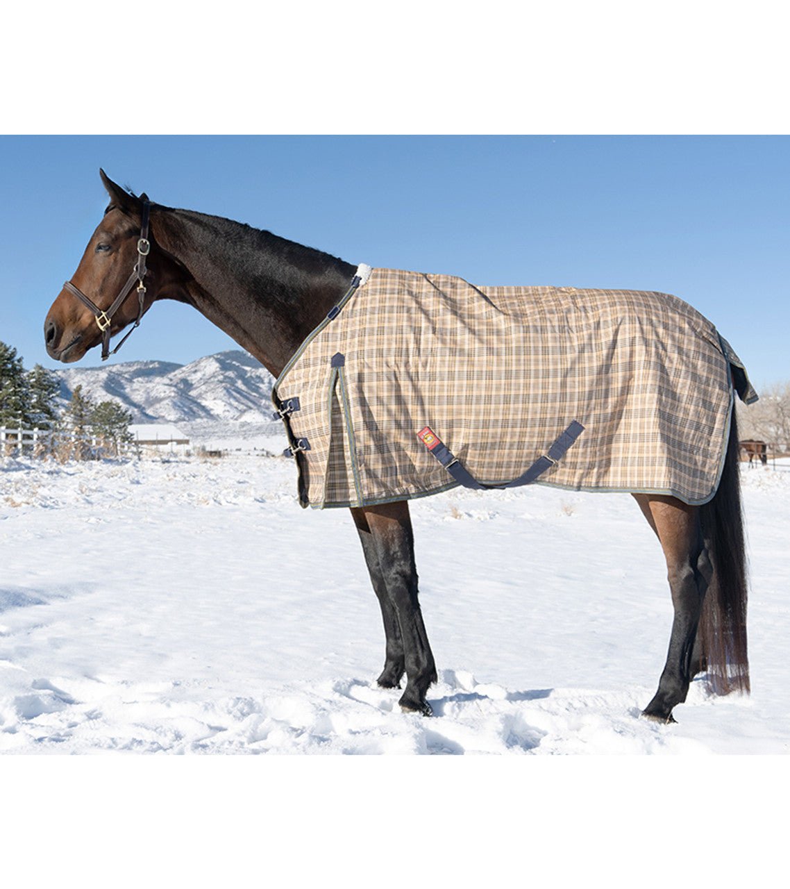 5/A Baker® Medium Weight Turnout Blanket 200 Gram - 5/A Baker® - Equiluxe Tack