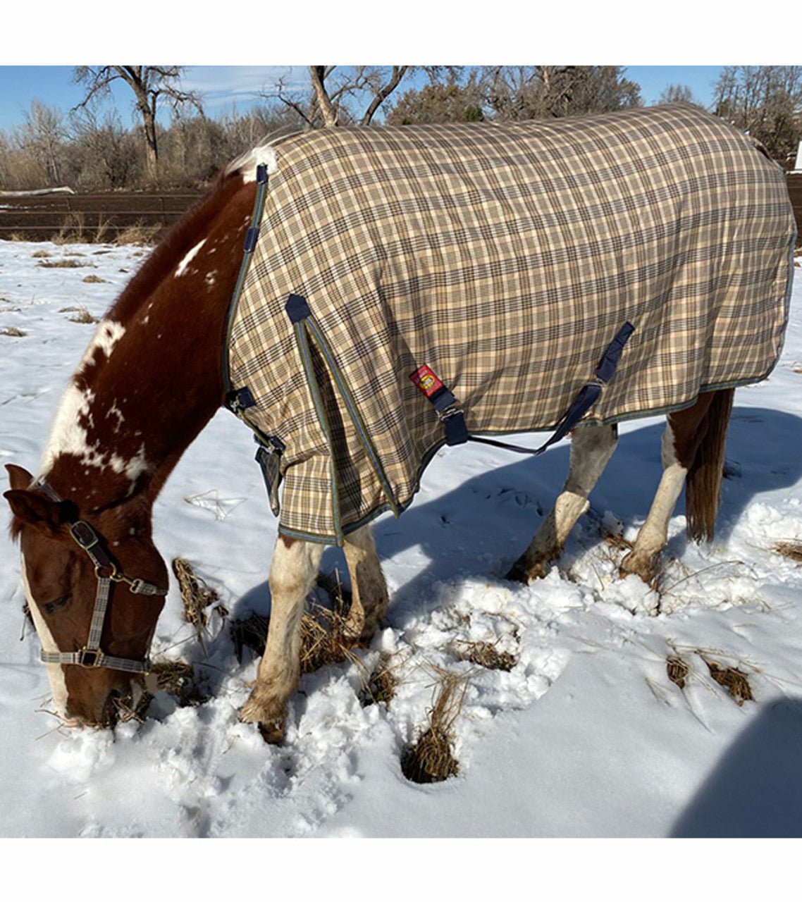 5/A Baker® Medium Weight Turnout Blanket 200 Gram - 5/A Baker® - Equiluxe Tack