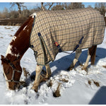 5/A Baker® Medium Weight Turnout Blanket 200 Gram - 5/A Baker® - Equiluxe Tack