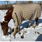 5/A Baker® Medium Weight Turnout Blanket 200 Gram - 5/A Baker® - Equiluxe Tack