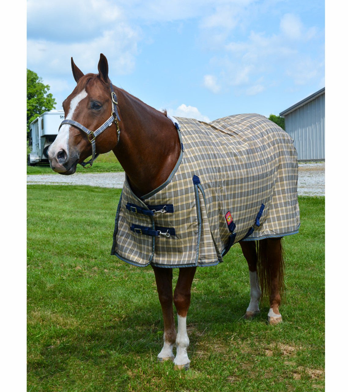 5/A Baker® Medium Weight Turnout Blanket 200 Gram - 5/A Baker® - Equiluxe Tack