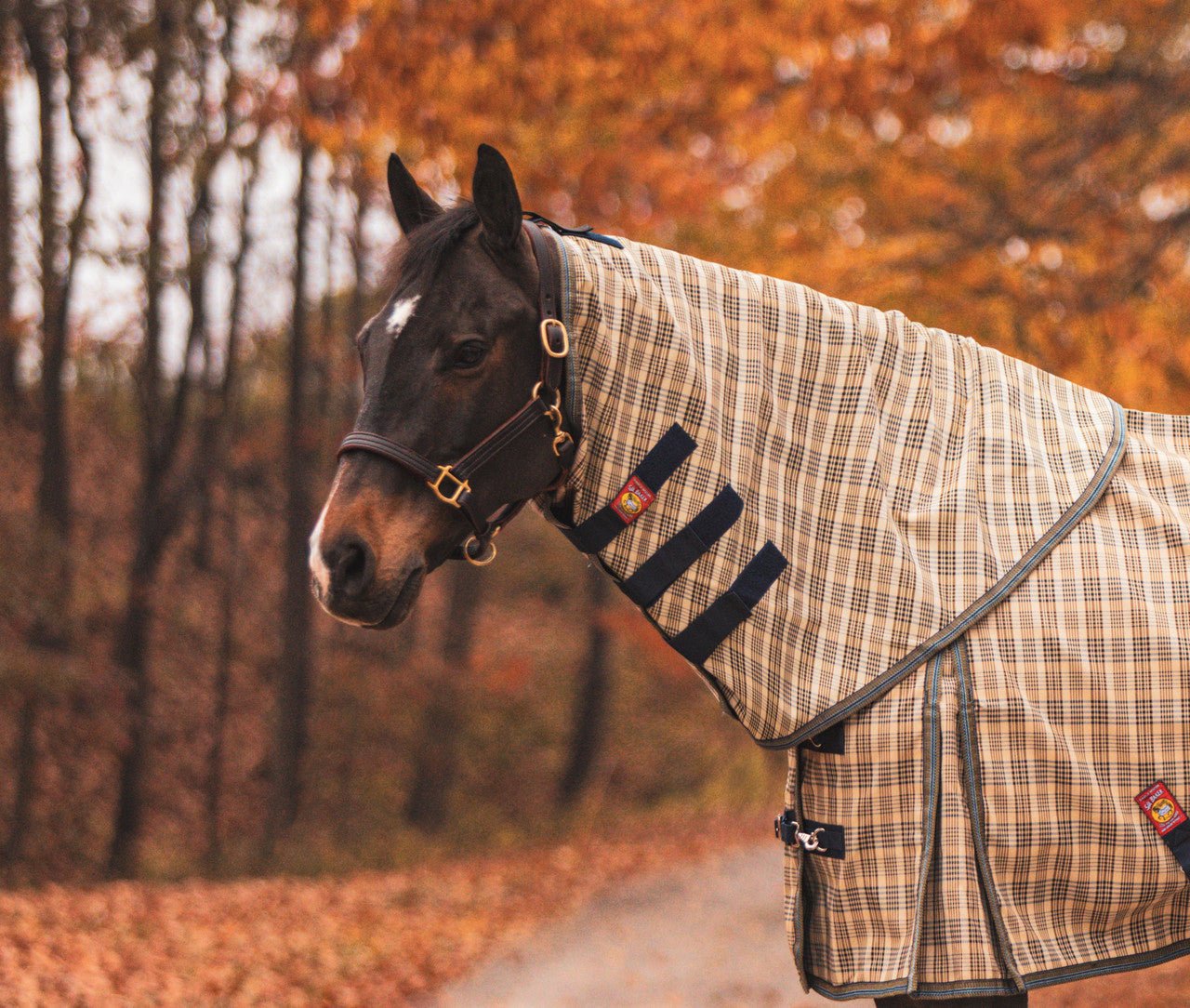 5/A Baker® Neck Cover for Turnout Sheet - 5/A Baker® - Equiluxe Tack