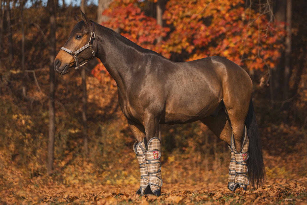 5/A Baker® Poly Trailering Boots - 5/A Baker® - Equiluxe Tack