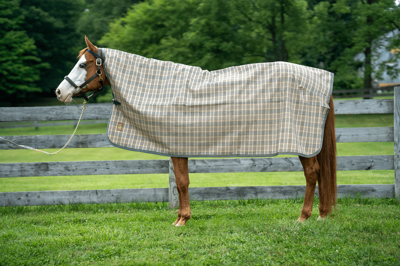 5/A Baker® Rain Cover - 5/A Baker® - Equiluxe Tack