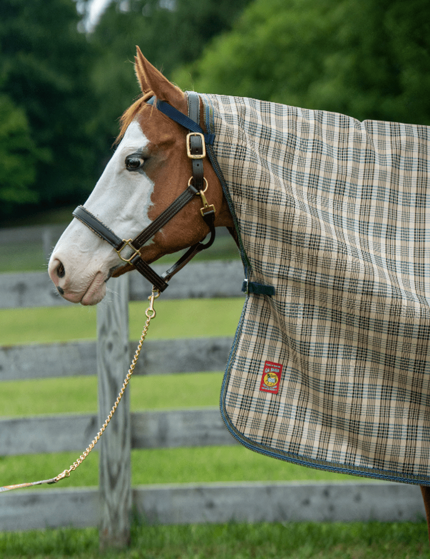 5/A Baker® Rain Cover - 5/A Baker® - Equiluxe Tack