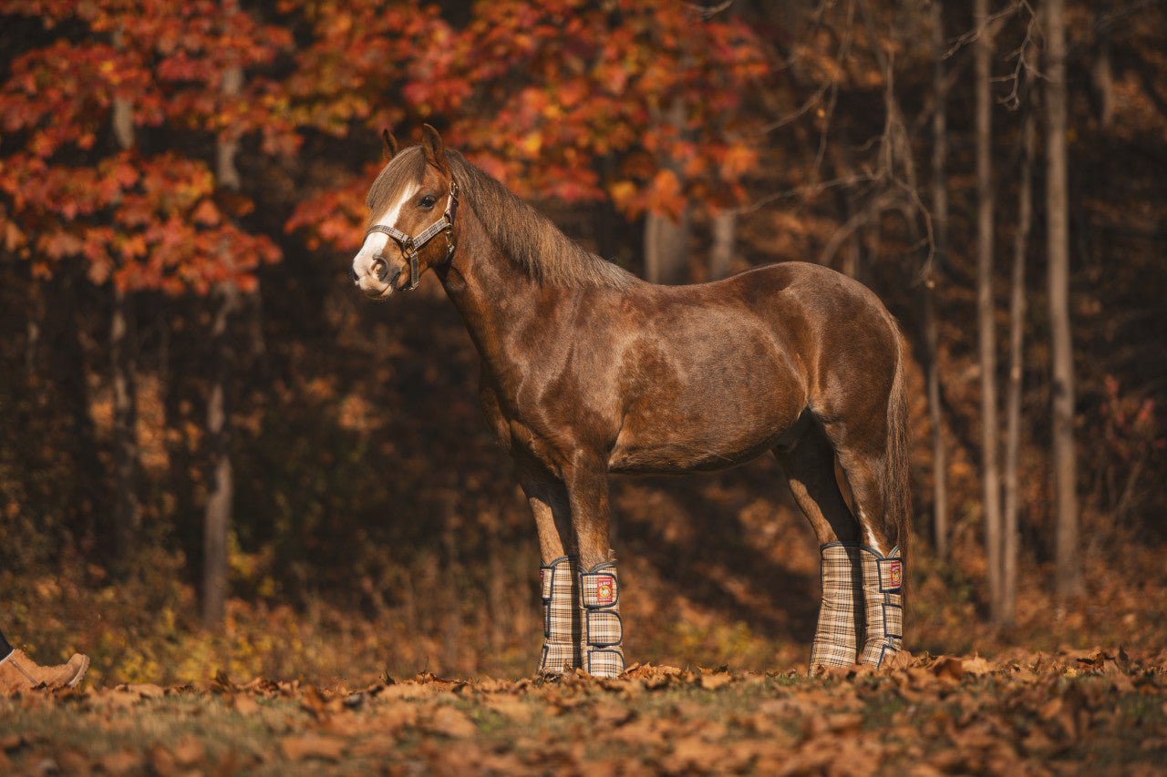 5/A Baker® Transport Boots - 5/A Baker® - Equiluxe Tack