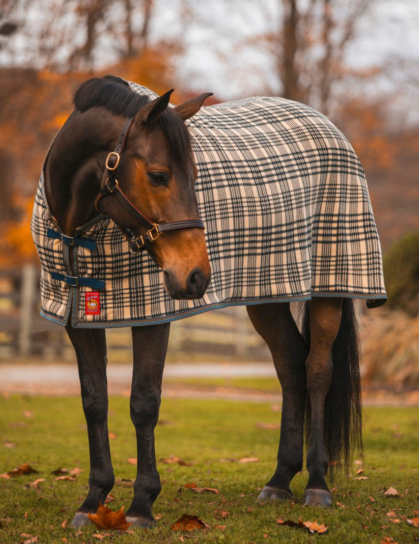 5/A® Bakerfleece Dress Sheet - 5/A Baker® - Equiluxe Tack