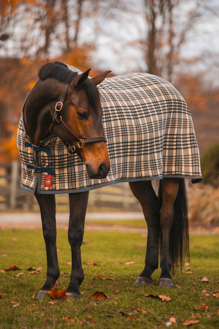 5/A® Bakerfleece Dress Sheet - 5/A Baker® - Equiluxe Tack