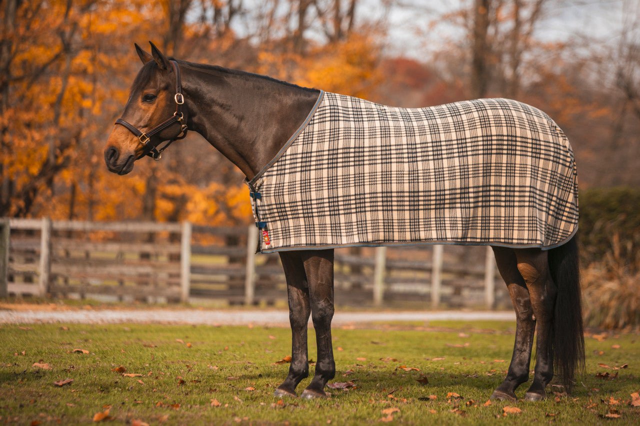 5/A® Bakerfleece Dress Sheet - 5/A Baker® - Equiluxe Tack