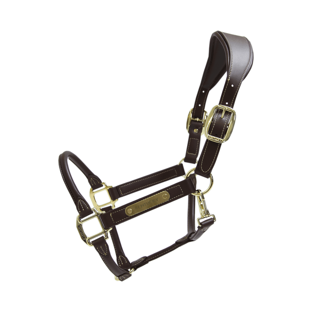 Kentucky Horsewear Anatomic Leather Halter