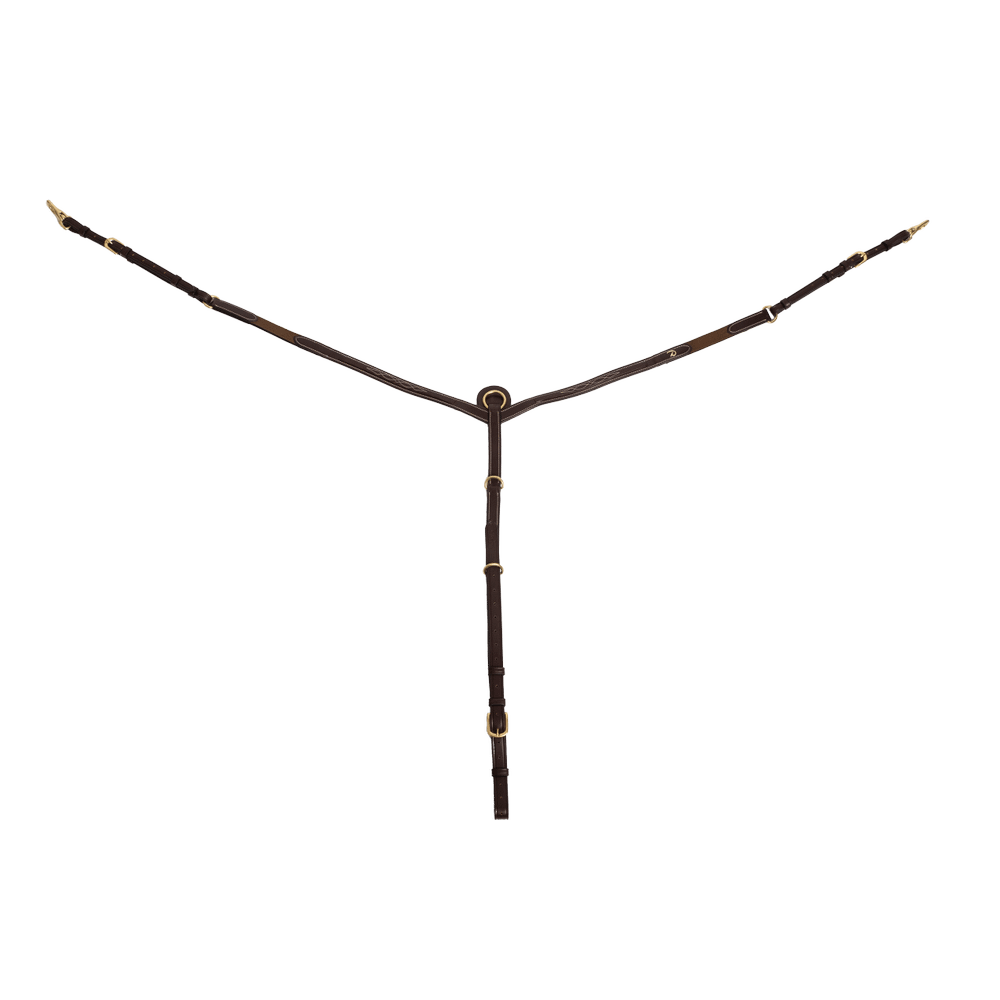 Dy'on Collection Breastplate
