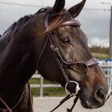 Dy'on Elastic Hybrid Noseband New English Collection Pony