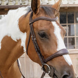 Dy'on Anatomic Noseband Without Flash New English Collection
