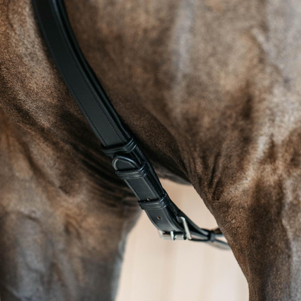 Dy'on 5 Point Breastplate with Elastic New English Collection