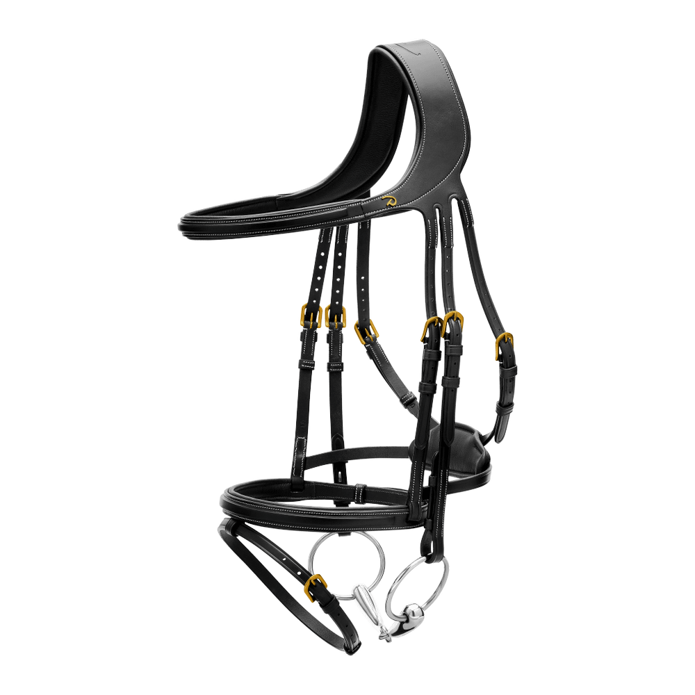 Dy'on Difference Bridle