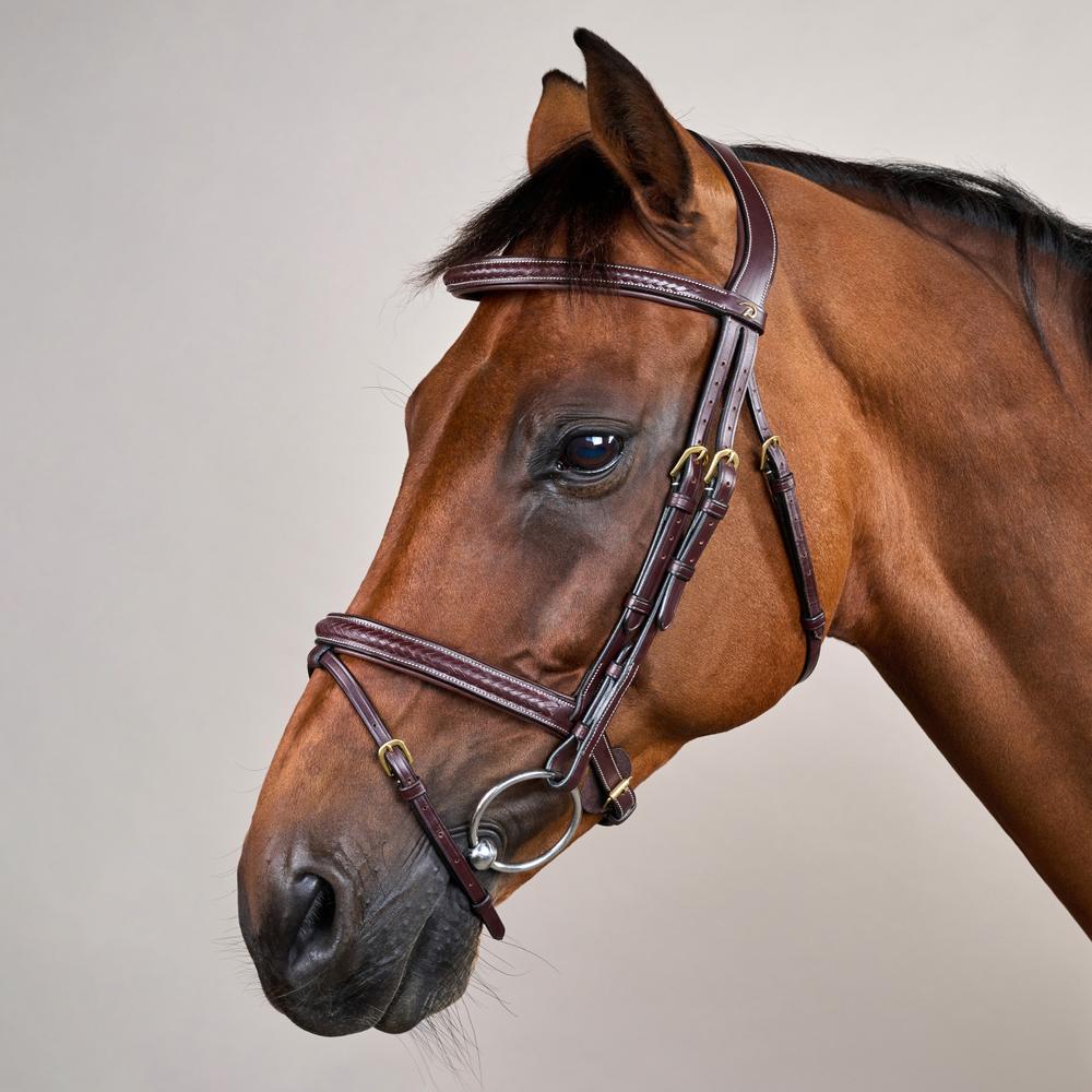 Dy'on Plaited Flash Noseband Bridle Full D Collection
