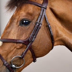 Dy'on Figure 8 Noseband Leather Bridle