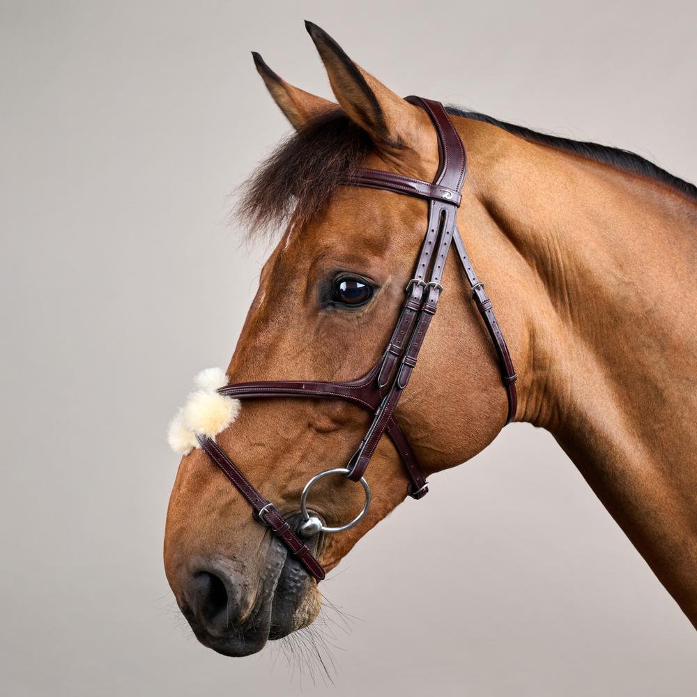 Dy'on Figure 8 Noseband Leather Bridle