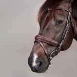 Dy'on Plaited Flash Noseband Pull Back Bridle Pony New English Collection