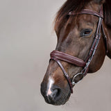 Dy'on Plaited Flash Noseband Pull Back Bridle Pony New English Collection