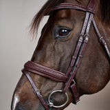 Dy'on Plaited Flash Noseband Pull Back Bridle Pony New English Collection