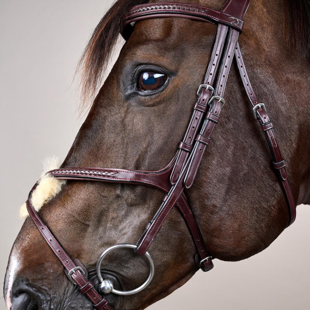 Dy'on Plaited Figure 8 Noseband Bridle New English Collection