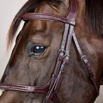 Dy'on Plaited Figure 8 Noseband Bridle New English Collection