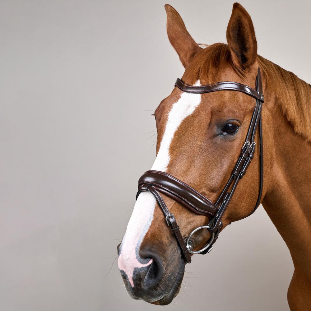 Dy'on Matte Large Crank Noseband Bridle With Flash