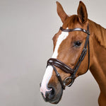 Dy'on Matte Large Crank Noseband Bridle With Flash