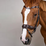 Dy'on Matte Large Crank Noseband Bridle With Flash